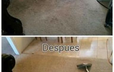 Limpieza de  alfombras